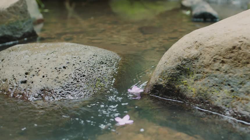 Two purple flowers falling into a river and flowing through the waters