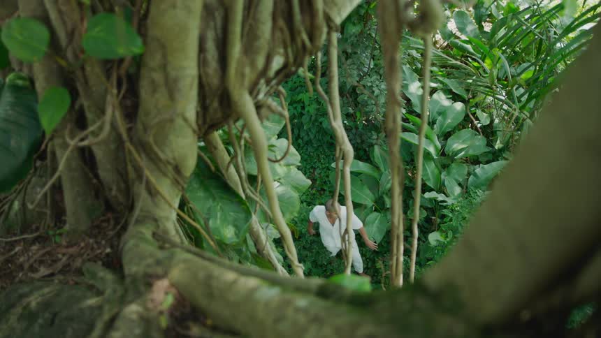 Man walking through a green forest area