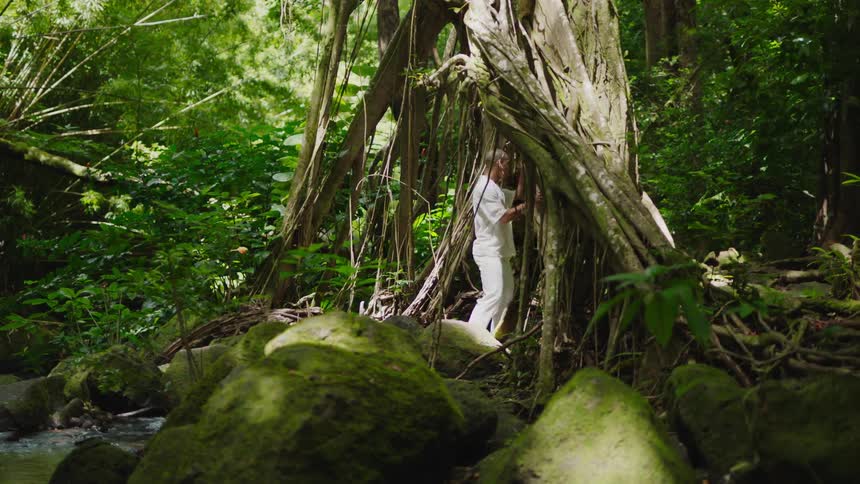 Monk in white robes entering a large tree trunk in the forest
