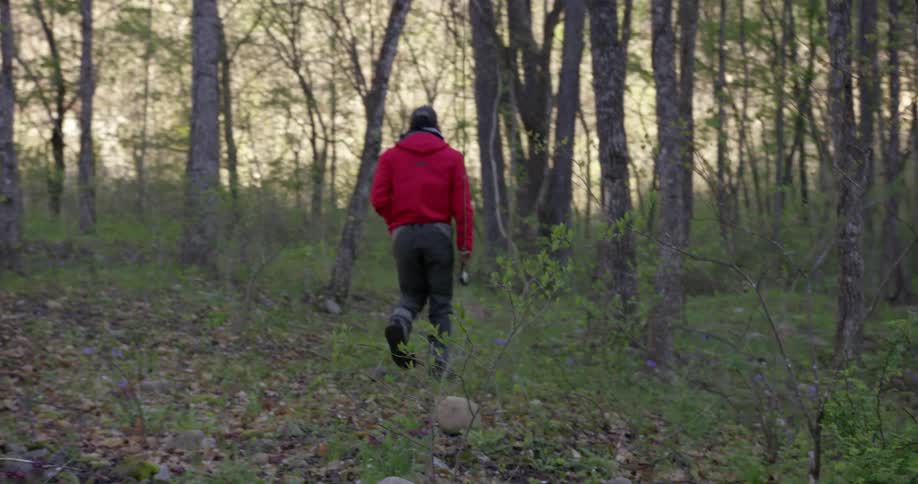 A man is walking through the woods