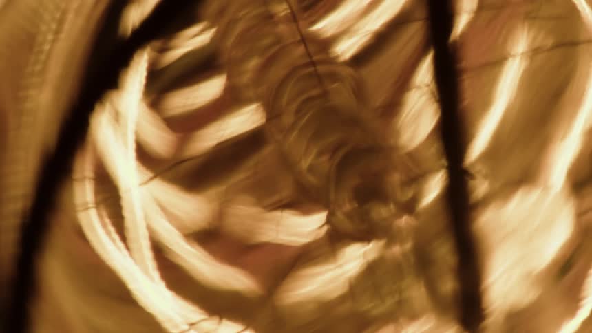 Blurred closeup with abstract golden and brown tones
