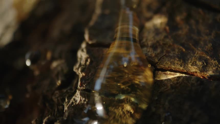 Dense liquid drop falling on a log