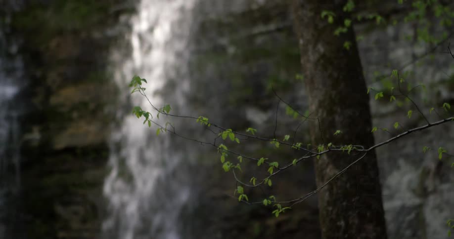 A waterfall cascades over a cliff