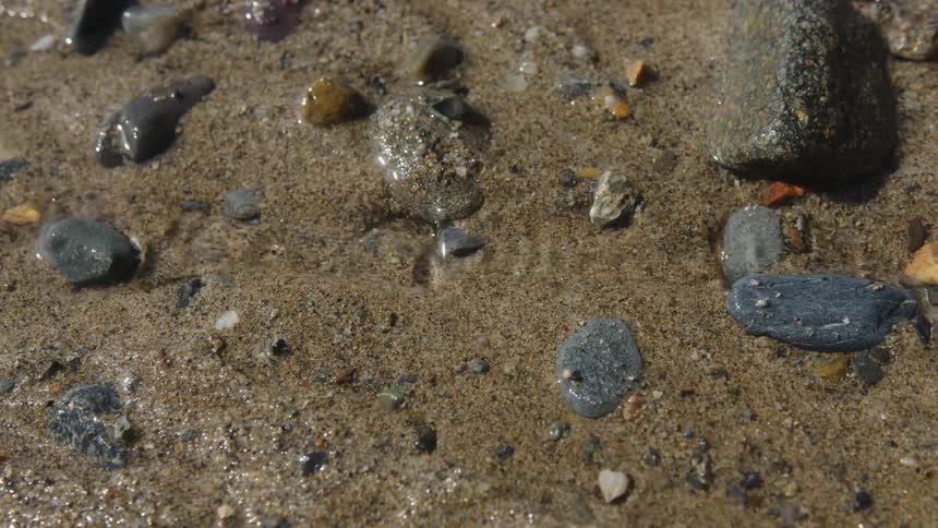 Shallow stream gently flowing over rocks and dirt
