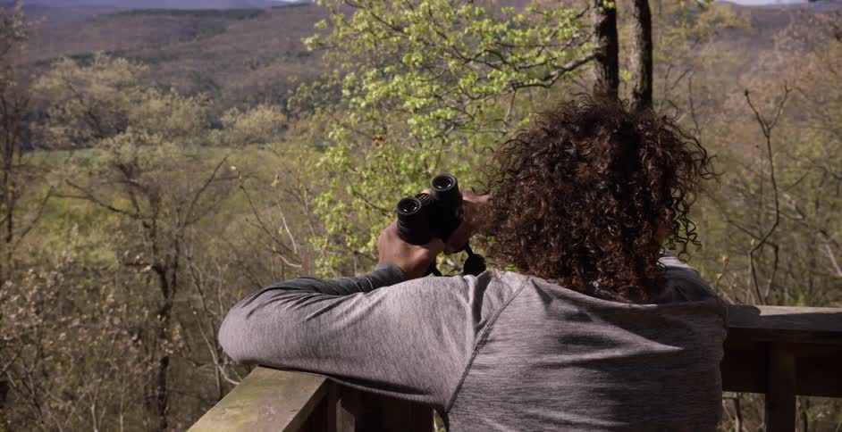 Person exploring the wilderness through binoculars from an elevated platform
