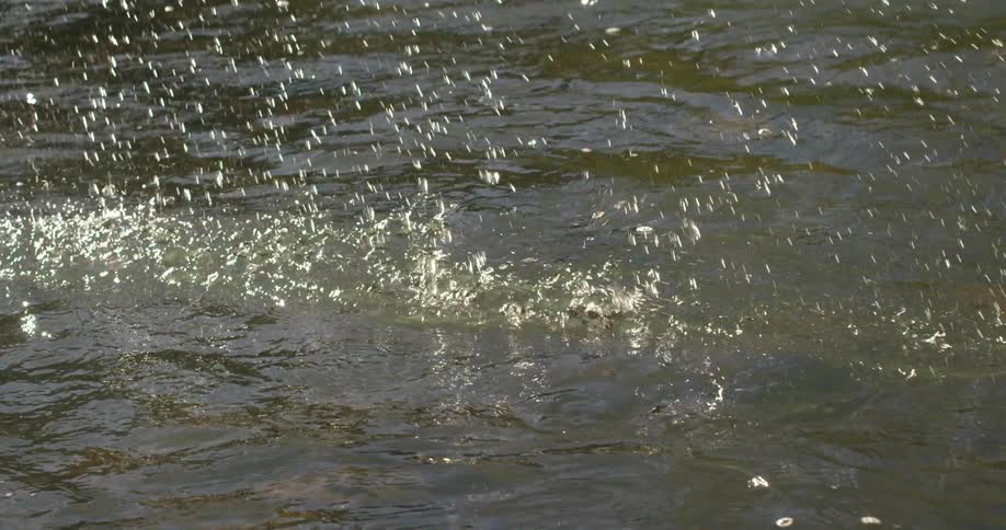 Object zips across the top of water
