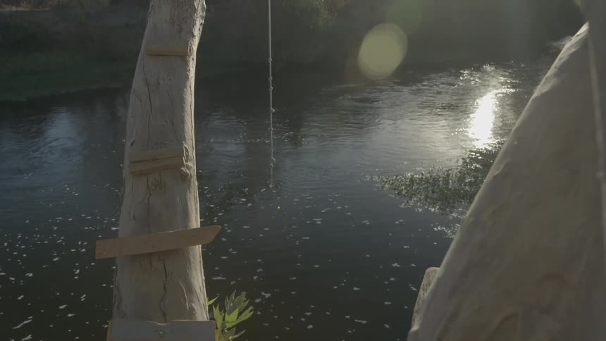 A river lined with trees