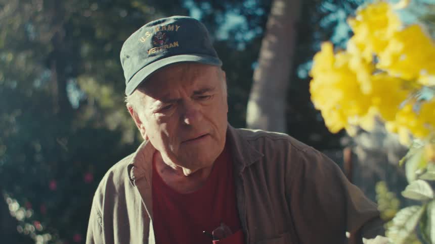 Elderly army veteran takes care of a flowering bush in his garden