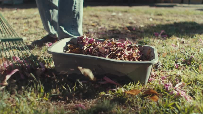 A man wearing jeans rakes leaves in a yard next to a plastic container filled with leaves