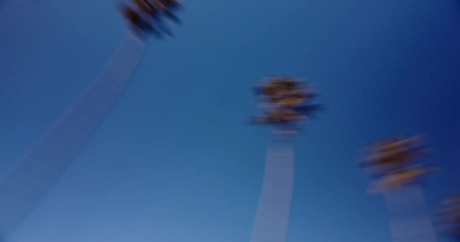 Slow shutter camera spinning looking up at rows of tall palm trees