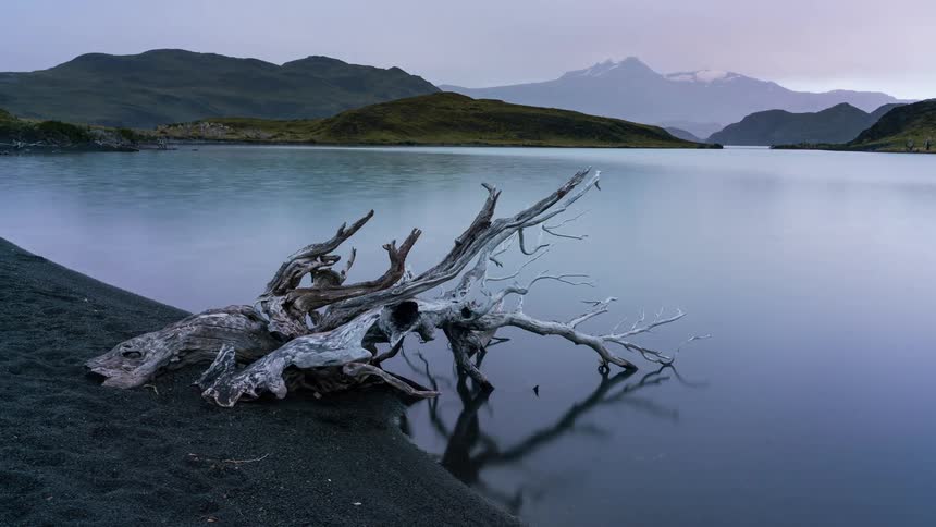 A weathered tree trunk lies on the shore of a serene lake with snowcapped mountains in the distance under a cloudy sky