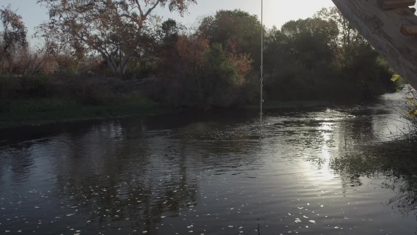A rope suspended from a tree hangs down into the middle of a river
