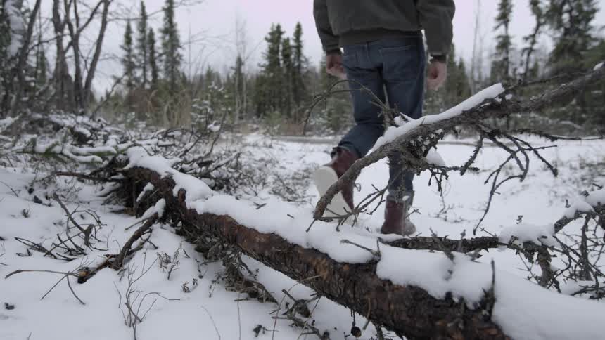 Person walking through a snowy wilderness