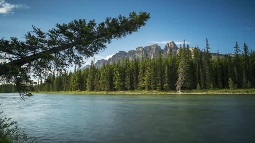 Water flows past a conifer forest towered over by jagged mountains on a cloudy day