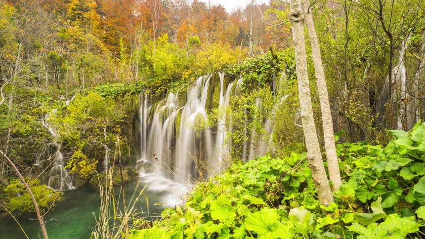 Waterfall in free fall against a backdrop of trees in different shades
