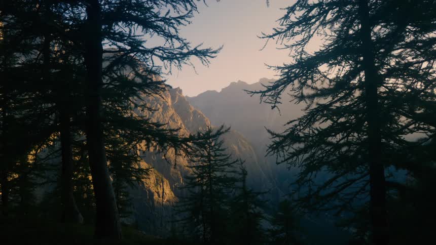 Evergreen trees stand in the foreground of a steep mountain range at sunset