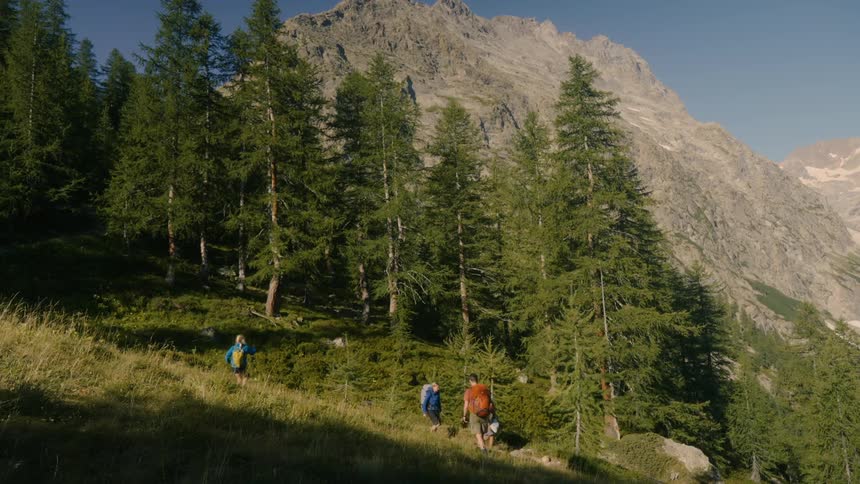 A small group of hikes walk on a steep path leading out of a forest