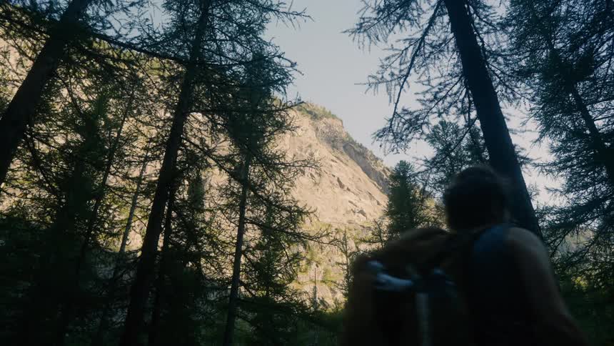 Two people with backpacks are walking in a tall forest with a normal mountain in the background