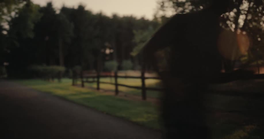 A man jogs along a quiet treelined path surrounded by lush greenery and fading evening light