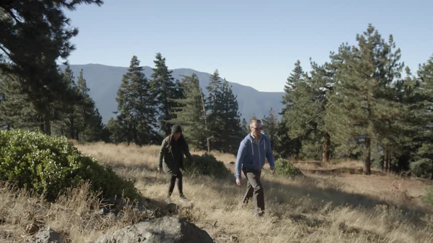 Couple walking through a grassy field surrounded by trees
