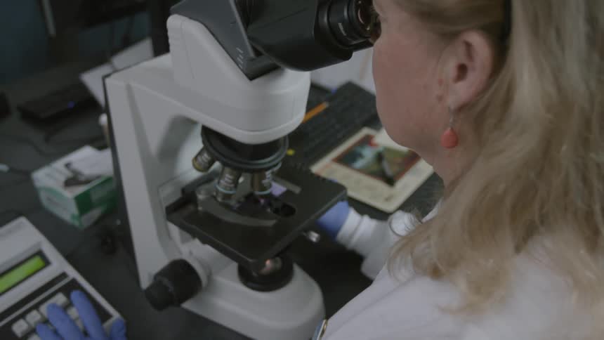 Woman  looking into a microscope and  entering information on a machine with her left hand