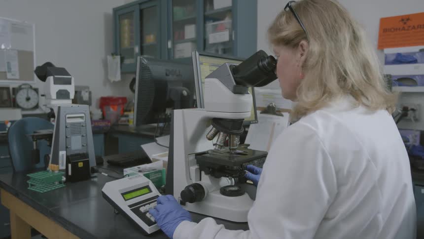 A person is looking through a telescope while inputting data