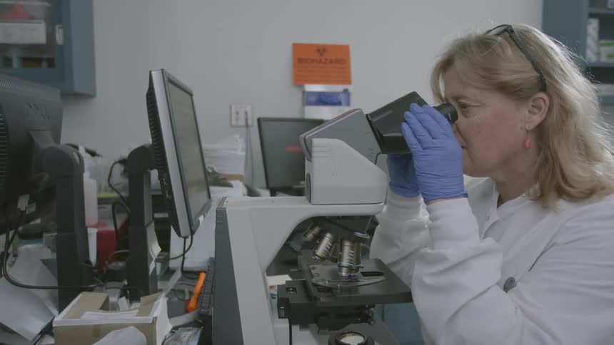 A scientist sits at a microscope in a laboratory