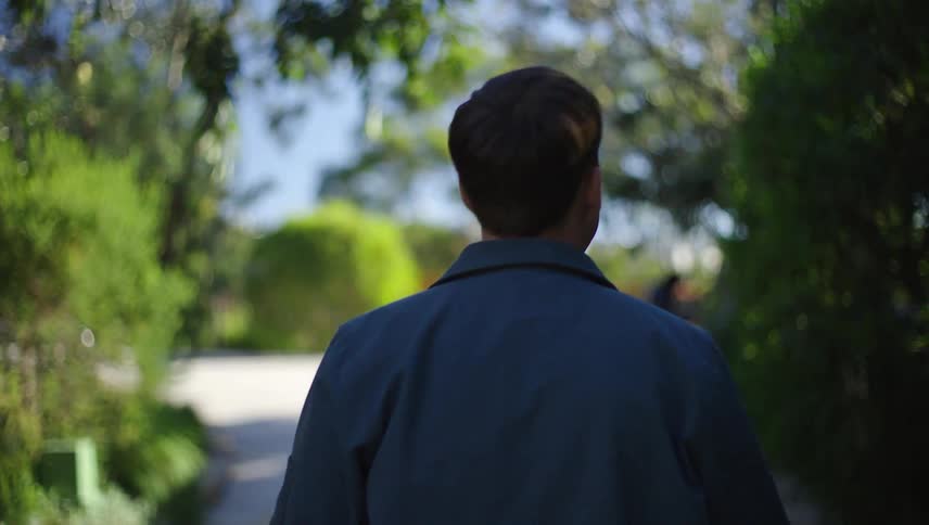 View of a man from behind walking through a park surrounded by vegetation