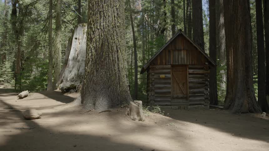 A small log cabin sits by the woods