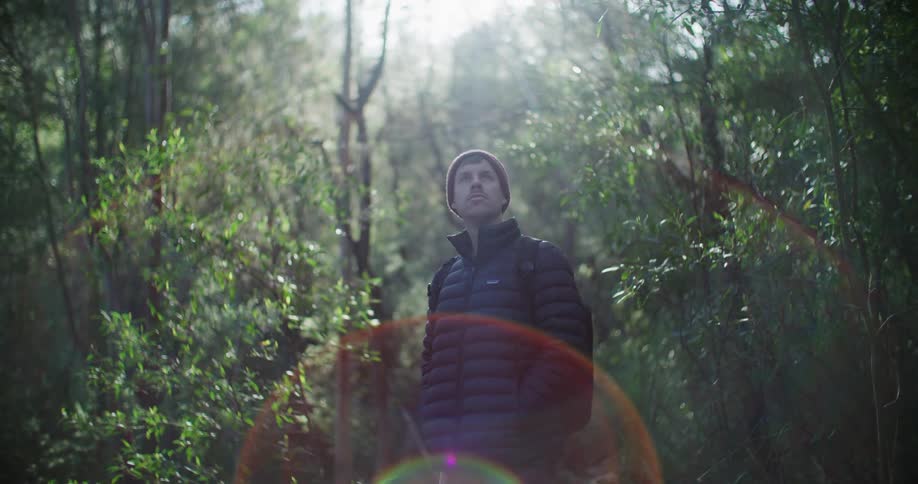 Man standing watching while standing in the middle of a forest