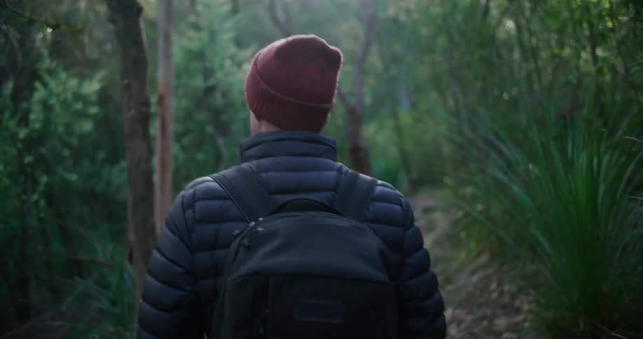Back view of a man with a backpack walking along a trail in the forest