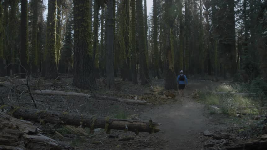 Person wearing a backpack jogging briskly through a trail in the woods