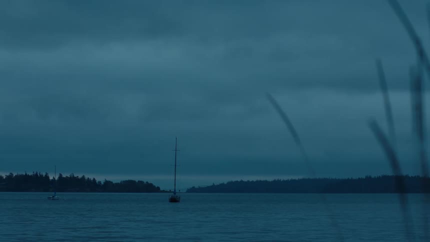 A small sailboat is anchored in calm water under an overcast sky framed by tall grasses