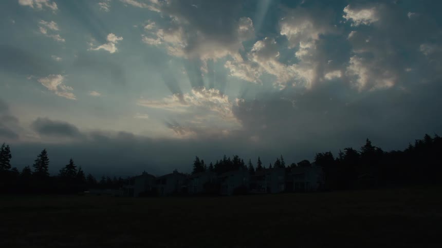 An evening footage of the woods