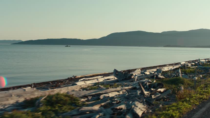 A shore of a huge lake with several logs on the edge and a mountain in the background