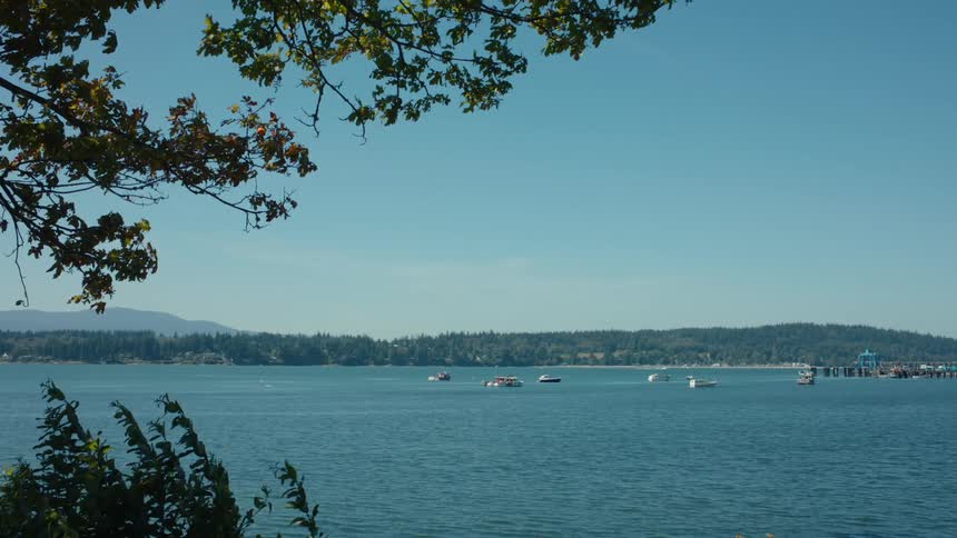 Several boats move around a bay in a rural area