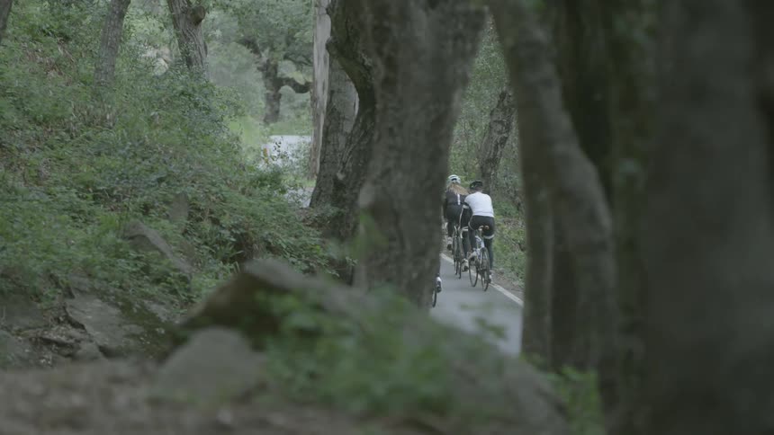 Several people riding bikes on a trail through the woods