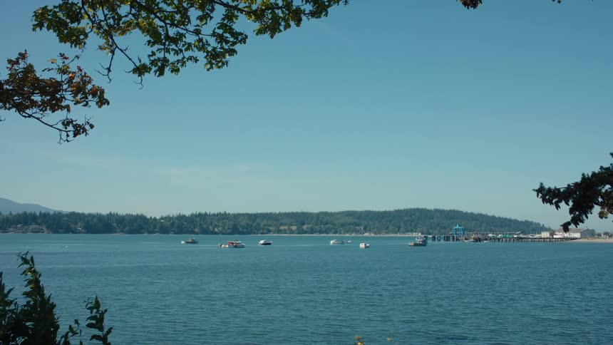 Boats are docked by the pier