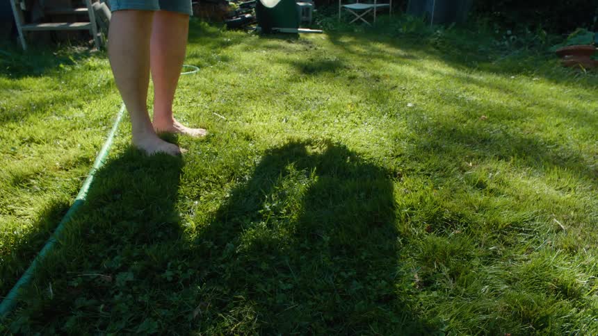 A clip of a person picking up a try on the lawn