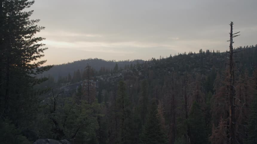 A higher up view of mountains and trees looking across the tops of the land
