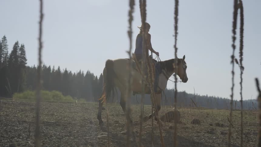A woman rides a horse on a sunny day
