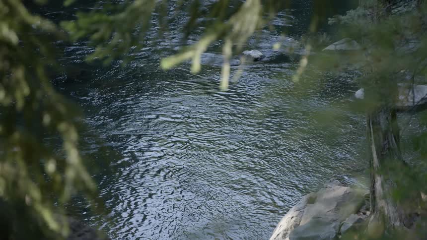 The sunlight reflects on the ripples in a river