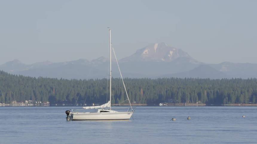 Boat floating on a tree lined lake