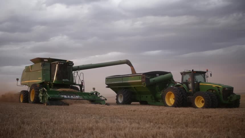 Threshing machine fills a trailer towed by a tractor during harvest on an overcast day