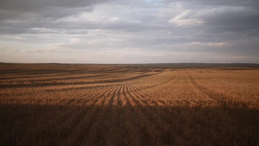 A large field of beige grass surrounded dark by a straight shadow that is of engineer