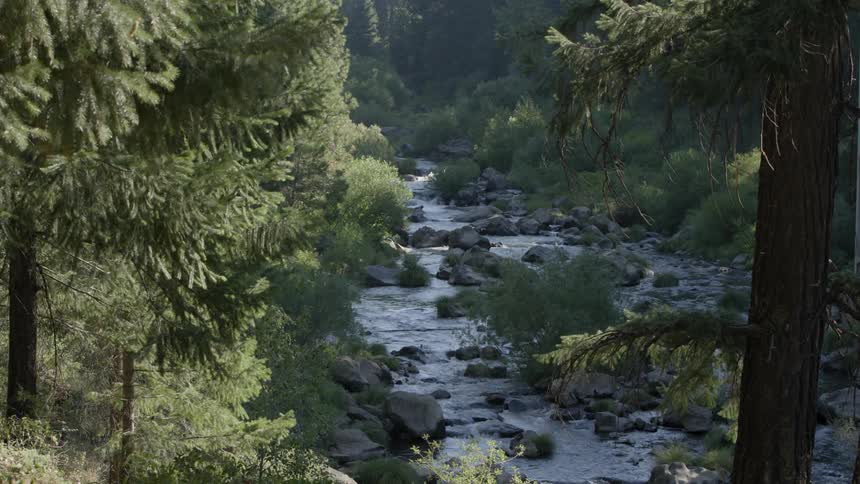 Stream water flows between rocks