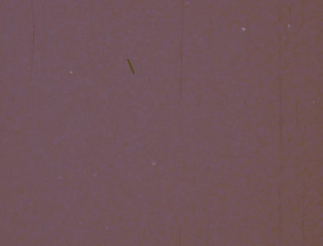 A clip of digits shown onscreen