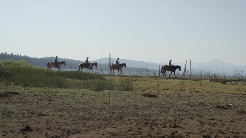 Four people are riding horses on a coastline during the day