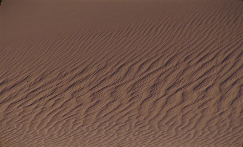 A large sand dune shows disturbed areas where the wind blew the sand into a pattern of ridges