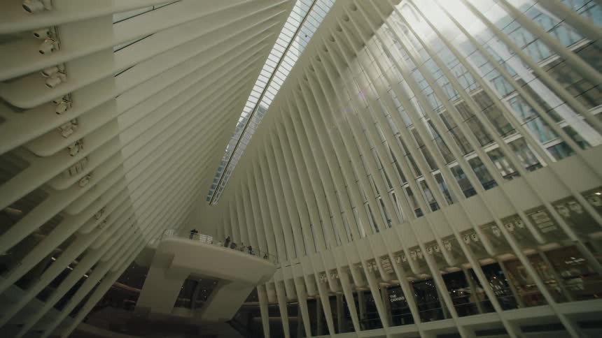 Modern interior architecture of a ceiling and windows in the background